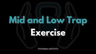 3 Different Exercises for the Middle and Lower Trapezius