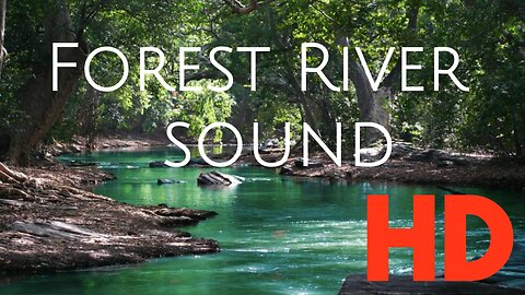 Beautiful Mountain River Flowing Sound Forest River, Relaxing Nature Sounds