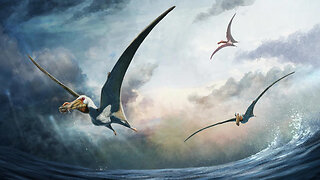 New Species of Flying Pterosaur Reptile Discovered in Outback Queensland Fossil Dig