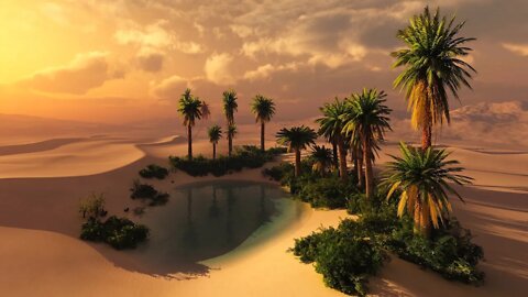 Soothing Arabian Music - Exotic Oasis