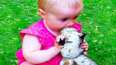 When Babies Meet Animals: Hello my past life buddy!