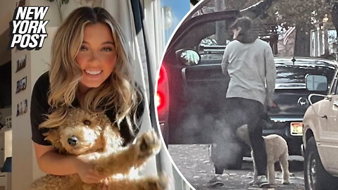 Videos emerge of murdered Kaylee Goncalves playing with her pet dog, who now appears to be cared for by on-off boyfriend Jack