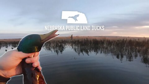 Nebraska Public Land Ducks - Hunting with my Dad | Outdoor Jack