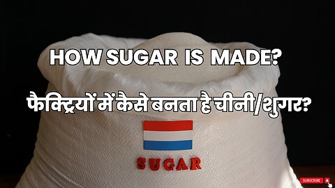How Sugar is Made|चीनी कैसे बनाई जाती है? #socialkaro