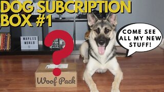 Dog Subscription Box | Woof Pack | Gerberian Shepsky