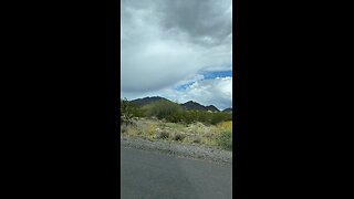 Arizona Desert