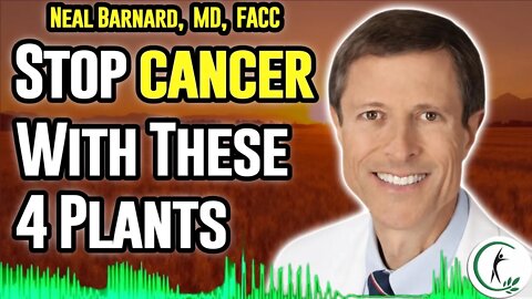 Dr. Neal Barnard: Four Anti-cancer Foods You Should Eat And What To Avoid