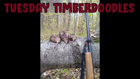 Tuesday Timberdoodles