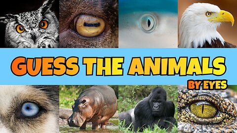 Take the Ultimate Animal Quiz || Can You Guess These Animals in Just 5 Seconds?