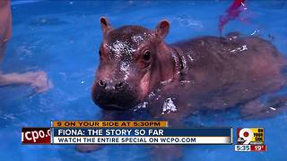 First birthday coming up for Fiona