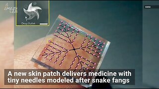 Patch Injects The Body 100 "Snake Fang" Needles