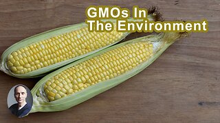 There's Nothing You Can Do To Recall GMOs In The Environment