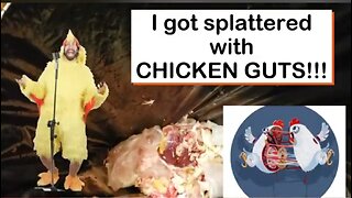 SPLATTERED WITH CHICKEN GUTS