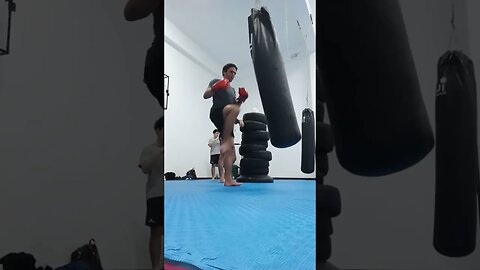 Kick, Punch, Elbow And Knee The Bag (46)