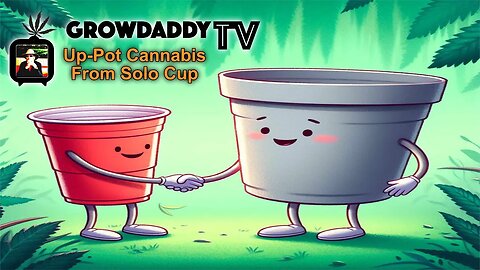 Up-Pot Hack - How to Up-Pot Cannabis From Solo Cups To 1.5 Gallon Pots - GAME-CHANGER!