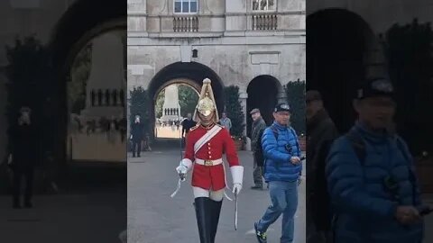 Tourist told to get back getting to close for selfie #horseguardsparade