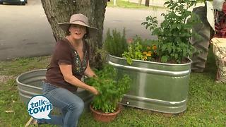 Lark Foster's Tips on Container Gardening