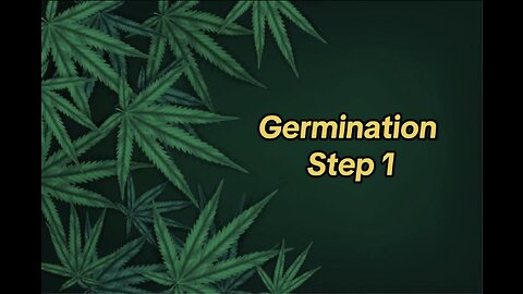 Let’s Grow “Flowers”: Germination Step 1