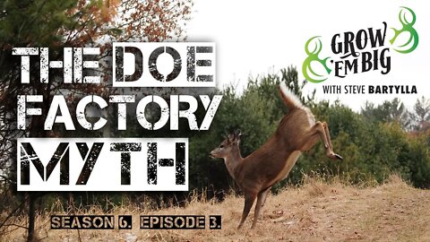 Avoid the Dreaded “Doe Factory“ and Bring in Big Bucks