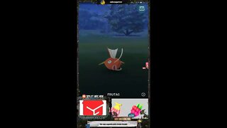 Live de Pokémon GO