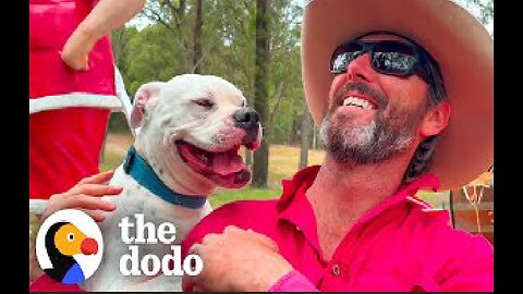 When Everyone Else Gave Up On This Pittie, This Guy Didn't | The Dodo