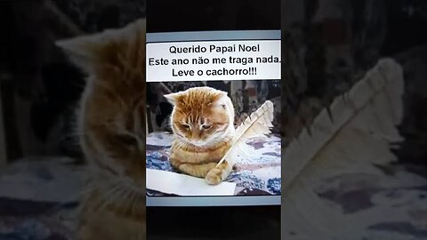 QUERIDO PAPAI NOEL