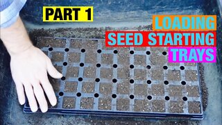 Quick: Loading seed starting trays (Part 1)