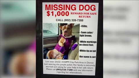 Dog stolen with van while driver was dropping off Instacart order