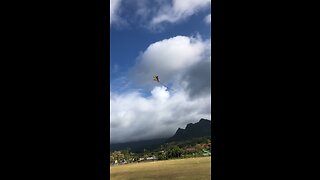 Flying kite