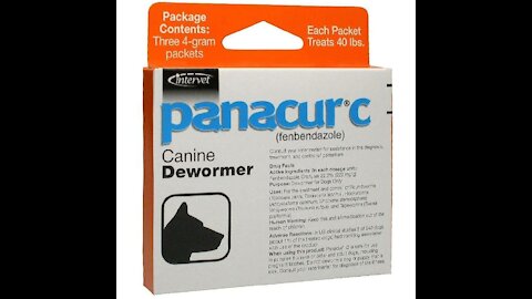 Panacur (fenbendazole) cancer cure?