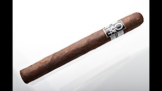 Final Blend Churchill Cigar Review