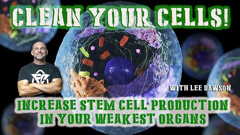 CLEAN YOUR CELLS, INCREASE STEM CELL PRODUCTION IN YOUR WEAKEST ORGANS WITH LEE DAWSON