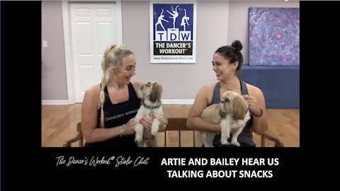 Artie and Bailey Hear Us Talking About Snacks