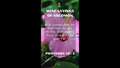 Proverbs 20.3 | NRSV Bible - Wise Sayings of Solomon