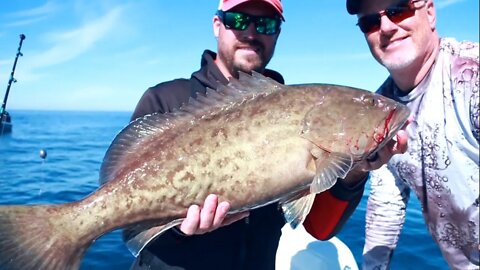 Tampa Bay Grouper Spots and Tips - How to find and catch Gag Grouper