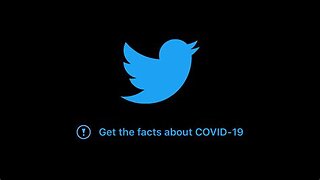 Twitter Files How Twitter Rigged The Covid Debate, Alice AI, Covid Class Action