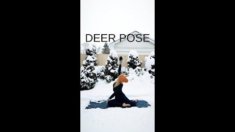 Deer Pose in the SNOW __ YOGA Inspiration __ #shorts