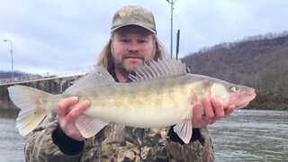 Kanawha River Episode 5 Walleye