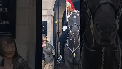 Do not touch the kings life guard #horseguardsparade