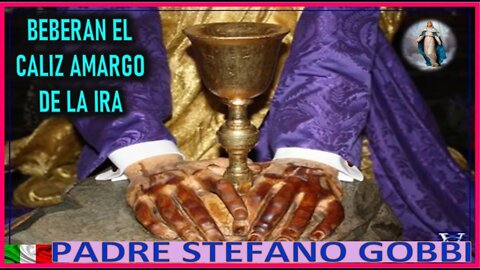 BEBERAN EL CALIZ AMARGO DE LA IRA - MENSAJE DE MARIA SANTISIMA AL PADRE STEFFANO GOBI