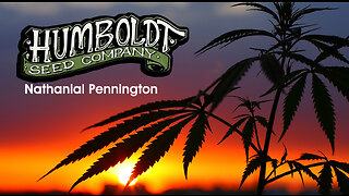 HUMBOLDT SEED CO | NATHANIAL PENNINGTON