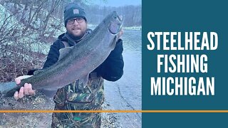Steelhead Fishing Michigan / Michigan Fishing / Tippy Dam / Manistee River Steelhead & Brown Trout