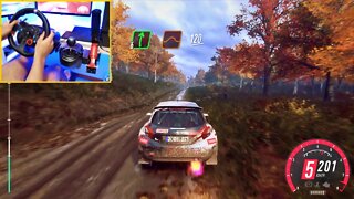 PEUGEOT 208 R5 | DiRT Rally 2.0 4K Steering Wheel + Shifter G29