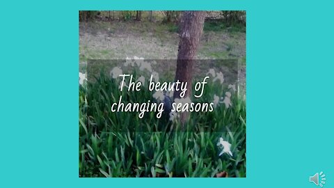 The beauty of changing seasons -- Nothing has changed in my life. What do I do?