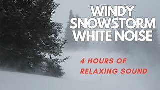 Windy Snow | White Noise For Relaxing