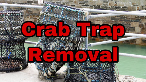 Texas Coastal Crab Trap Cleanup Dates Selected