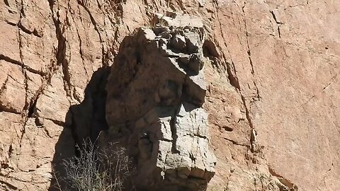 Canyon from Questa To Red River NM