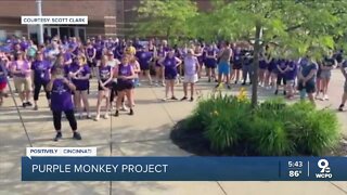 Positively Cincinnati: Purple Monkey Project