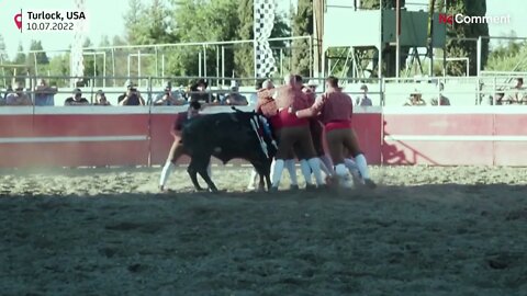 California's Portuguese community keeps bullfighting alive without bloodshed