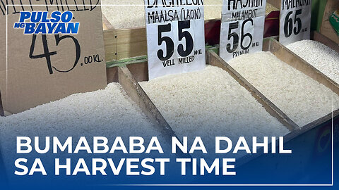 Presyo ng bigas bumababa na dahil sa harvest time; price cap, hindi na kailangan—Orly Manuntag